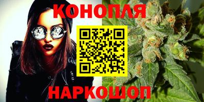 ешки Новозыбков